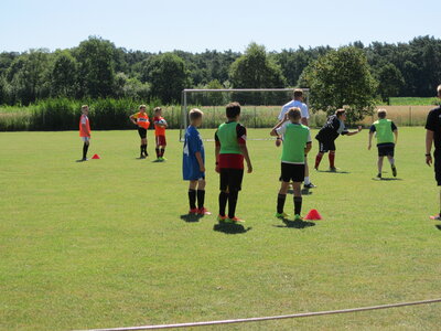 IMG_1454 IMG_1454