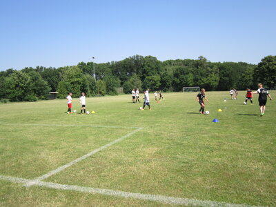 IMG_1428 IMG_1428