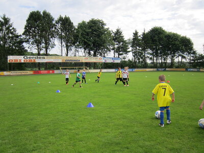 IMG_1331 IMG_1331